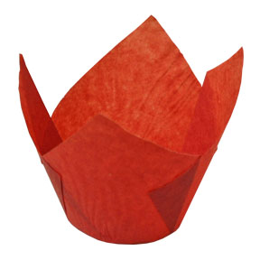 Medium Red Tulip Cup ~ 2" Base