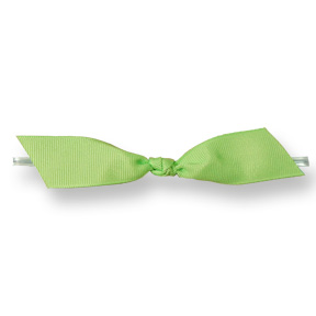 Mint Green Twisted Grosgrain Ribbon ~ 4" Bow