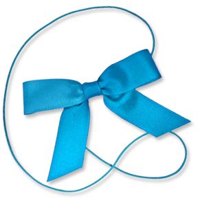 Turquoise 4" Grosgrain Bow on Matching Loop