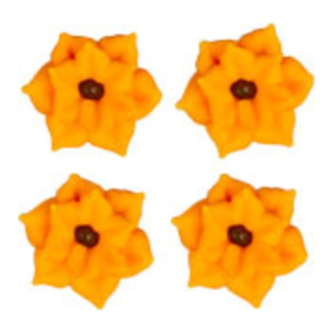 Orange Flowers