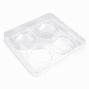 Clear Plastic Candy Tackle Box with 4 Round Cavities ~ 25 count
