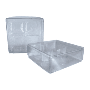 4 Cavity Clear Acetate Box